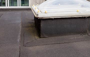 disadvantages of Higher Audley flat roofs
