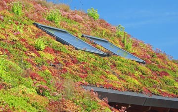 Higher Audley living roof systems