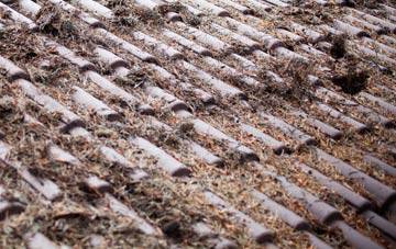 Higher Audley roof cleaning companies