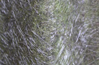 Higher Audley fibreglass roof work